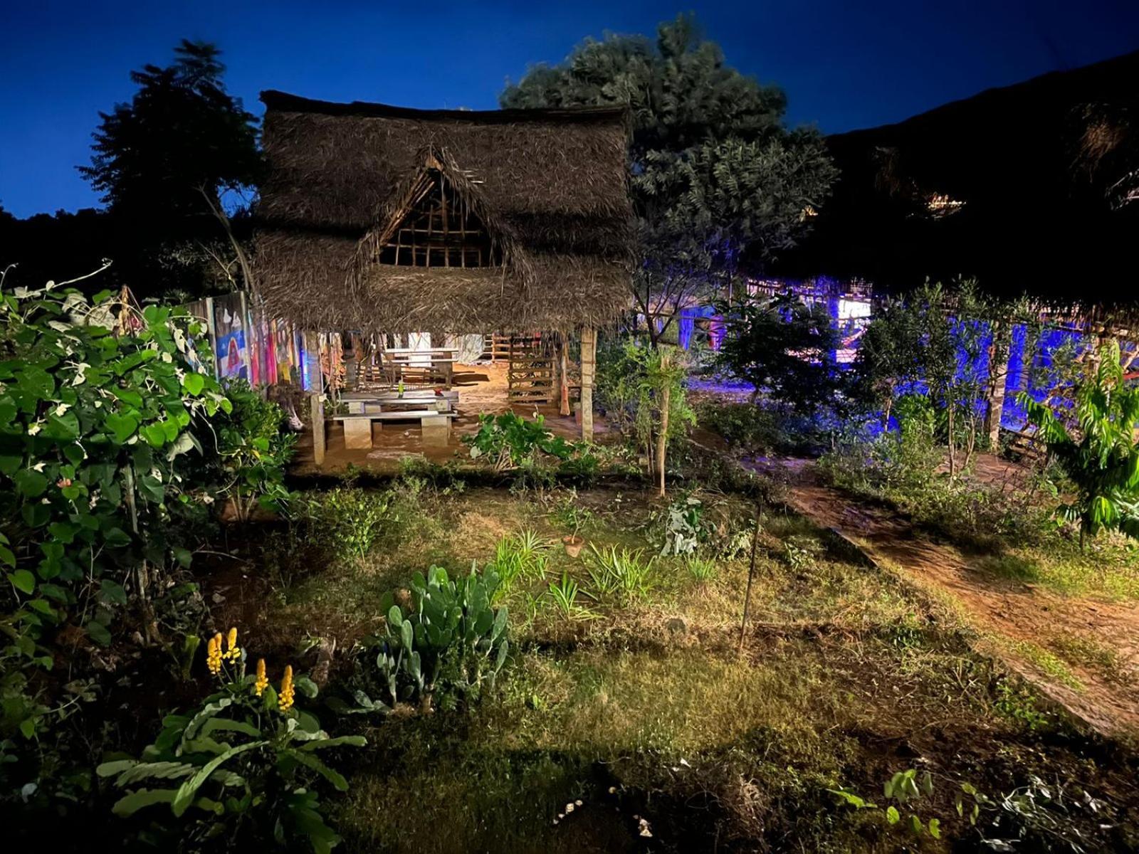 Time Travellers Hostel オーロヴィル エクステリア 写真