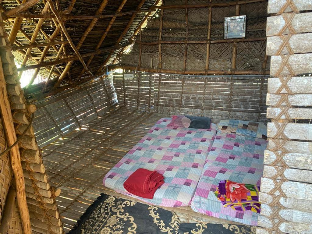 Time Travellers Hostel オーロヴィル 部屋 写真